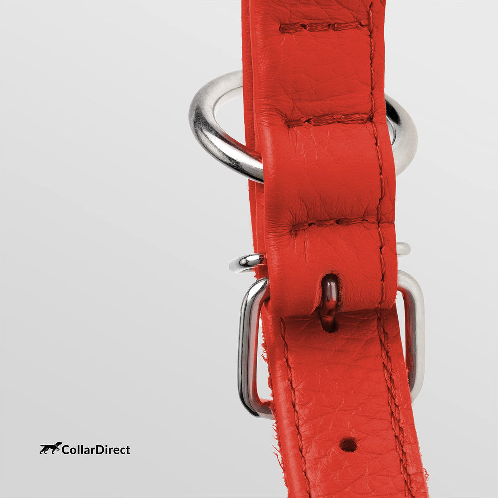 CollarDirect leather collar sizes chart helps find a 13-16 inch fit.
