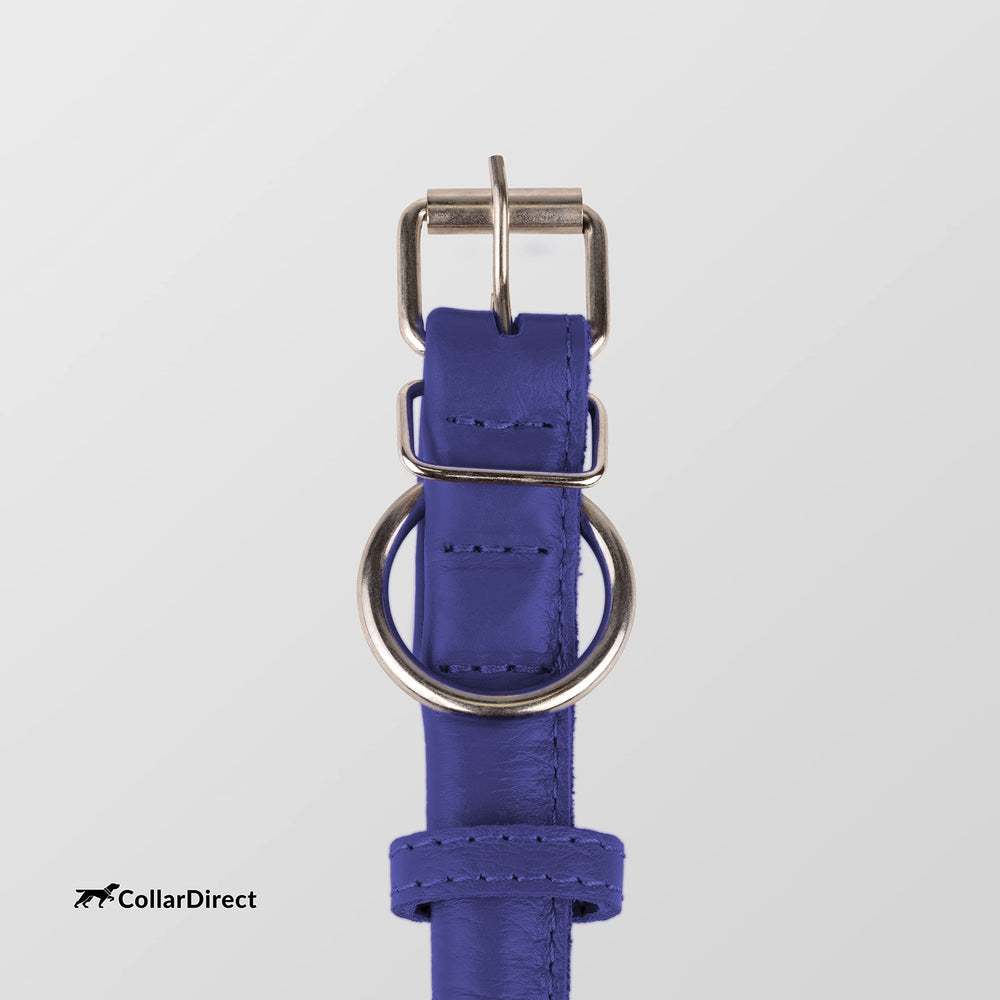 CollarDirect leather collar pairs with a compatible leash for simple everyday outings