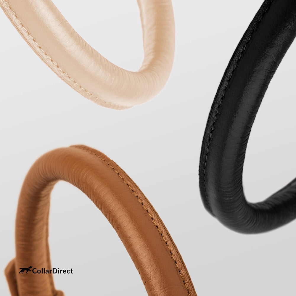 CollarDirect leather color options shown to match your pup's personality