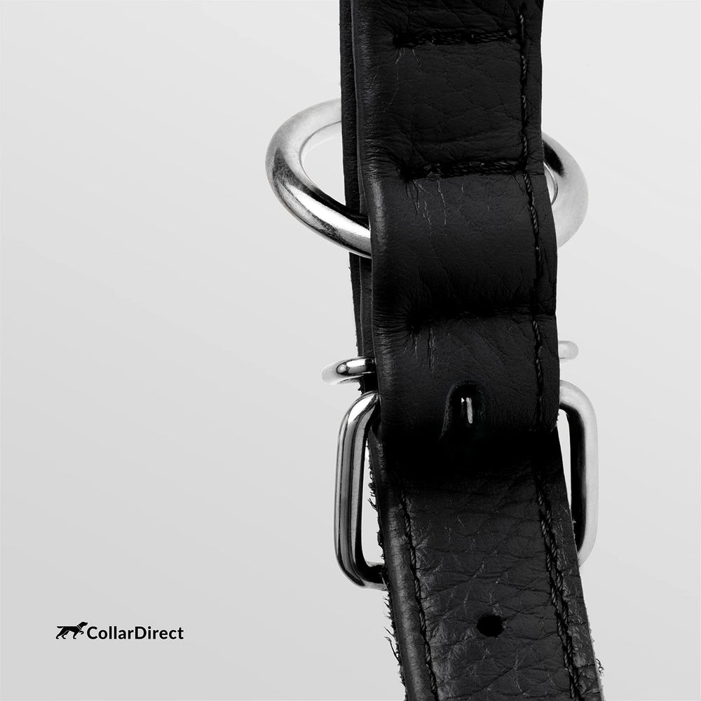CollarDirect leather dog collar wipe-clean design for quick after-walk cleanup.