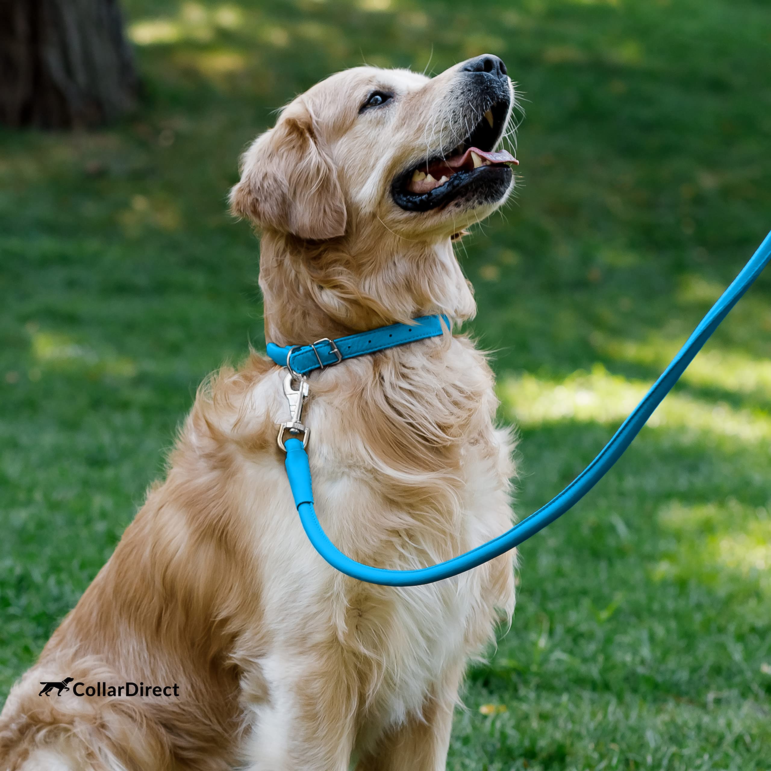 CollarDirect long-haired friendly leather collar reduces tangling during walks