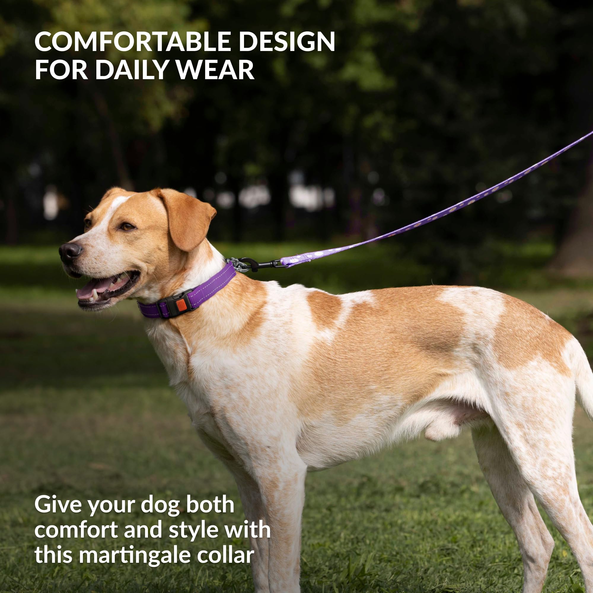 CollarDirect Martingale con ajuste de 12-15 pulgadas para cuellos pequeños.