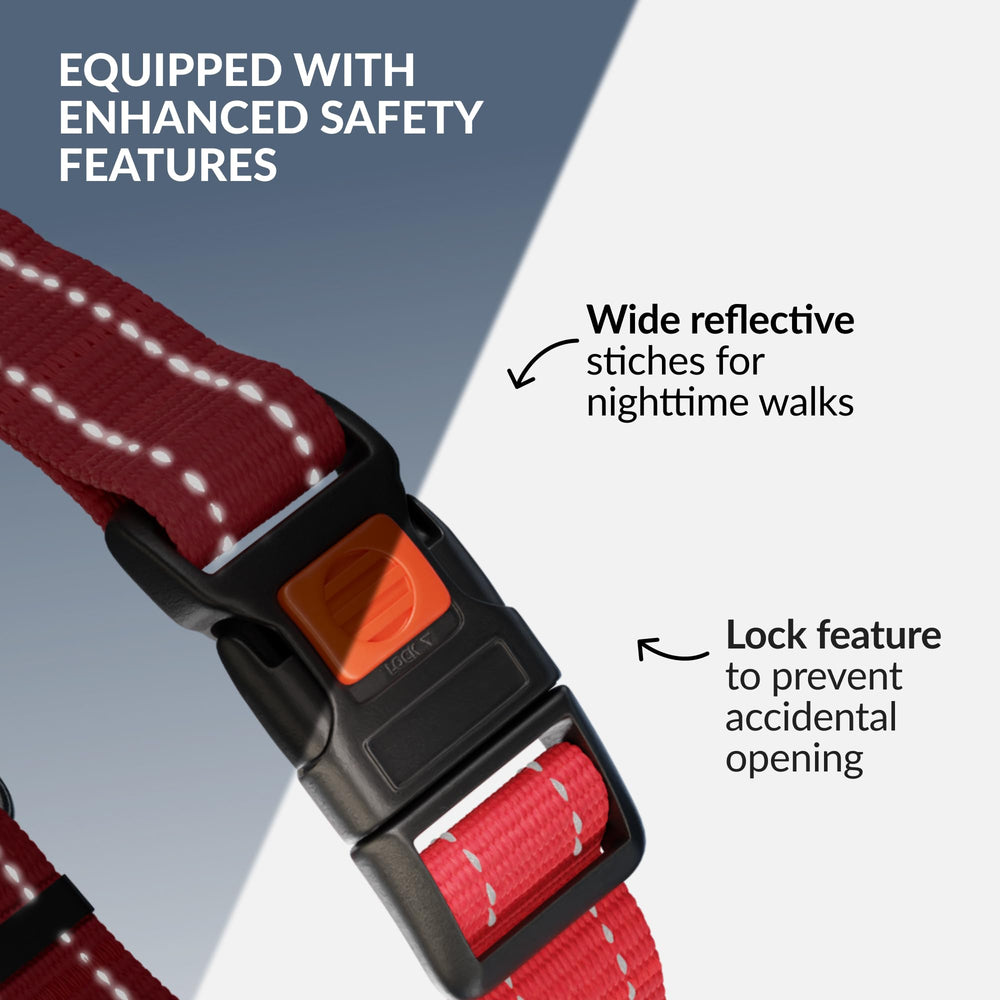 Collardirect martingale detalle reflectivo para seguridad nocturna durante paseos.