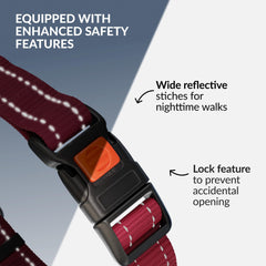 CollarDirect martingale con ribete reflectante para mayor visibilidad nocturna.