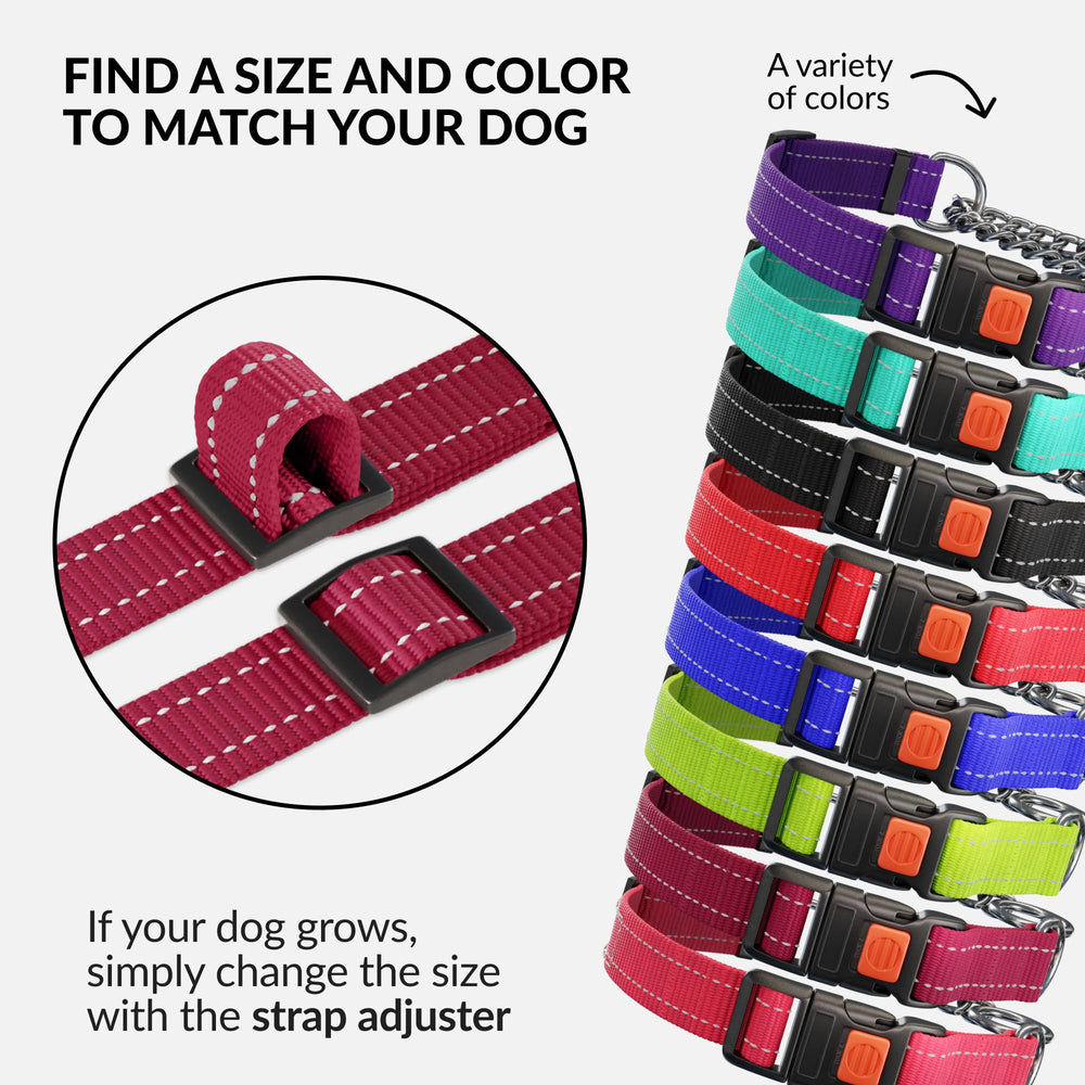 CollarDirect martingale para entrenamiento y uso diario con seguridad.