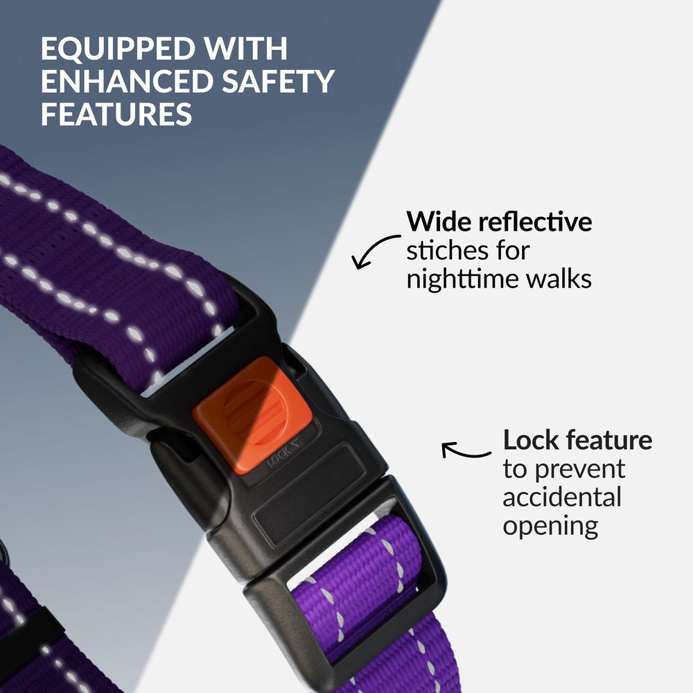 CollarDirect Martingale para uso diario y entrenamiento, cómodo y seguro.