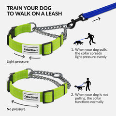 CollarDirect martingale stainless-steel chain close-up highlighting durability
