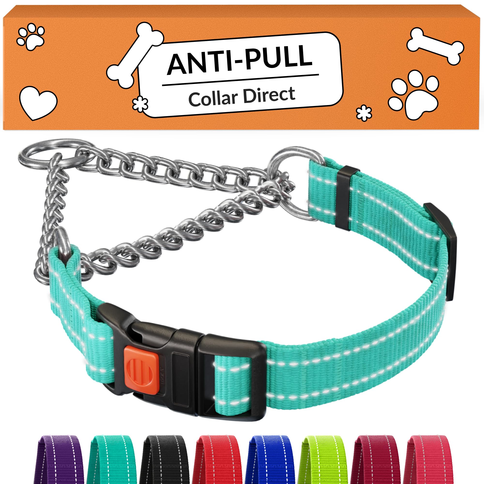 CollarDirect martingale mint-green buckle provides secure control during daily walks