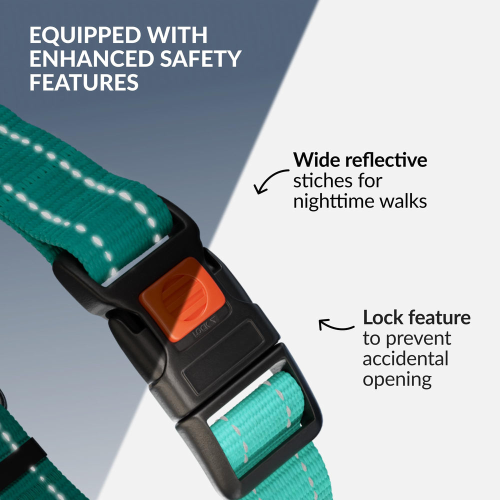 CollarDirect martingale reflective-thread increases nighttime visibility for safe outings