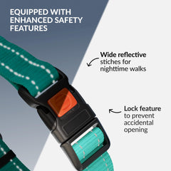 CollarDirect martingale reflective-thread increases nighttime visibility for safe outings