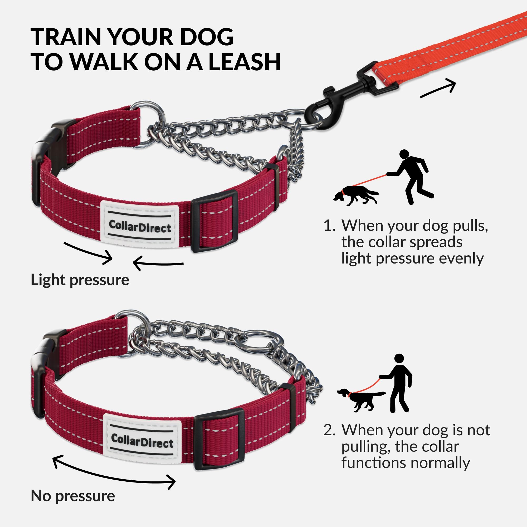 CollarDirect martingale stainless steel chain emphasizes secure restraint during walks.