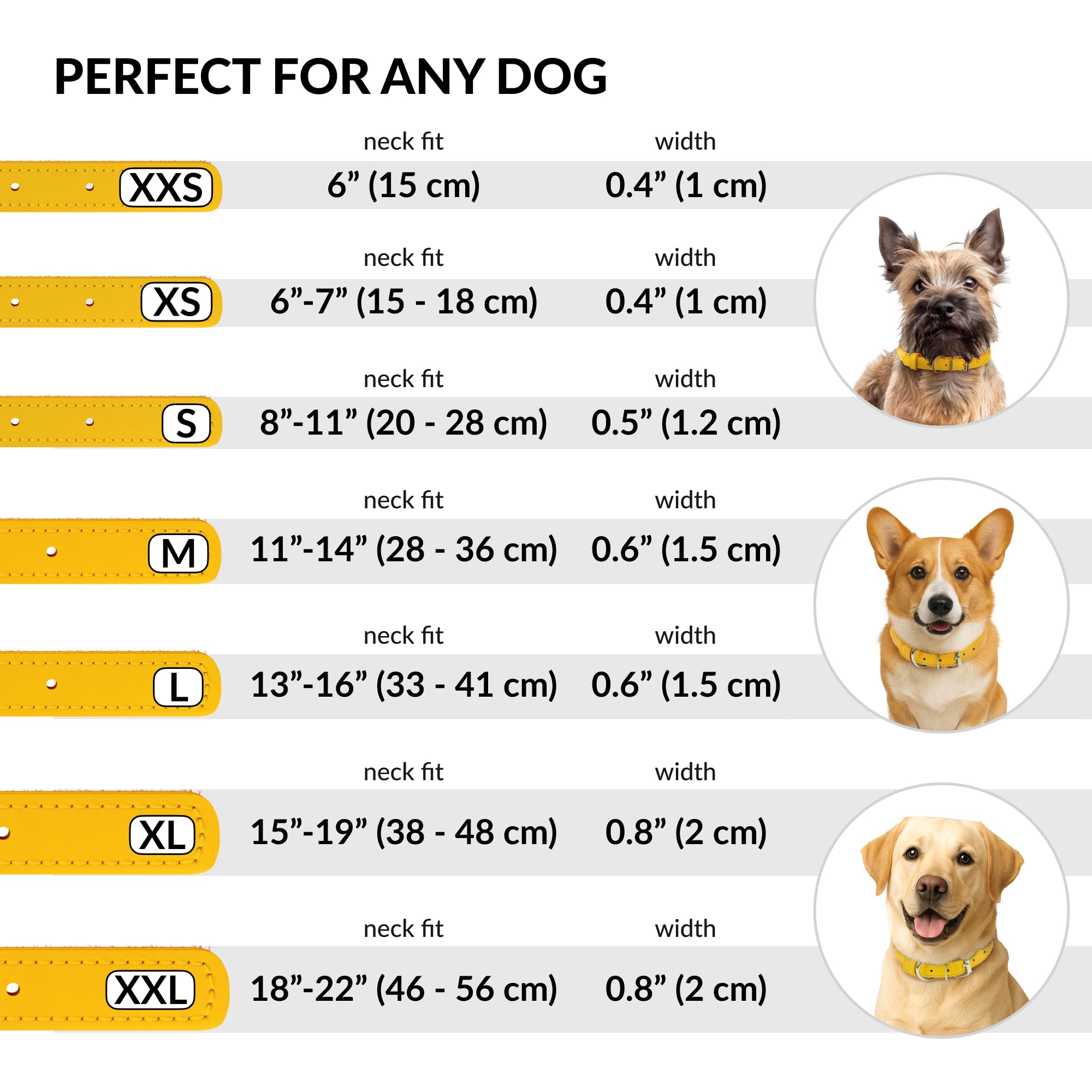 CollarDirect matching cat collar option shown for a coordinated look across pets.