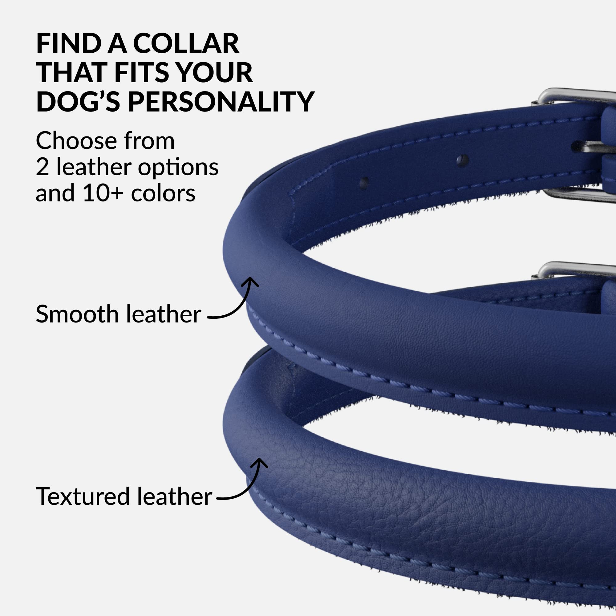 CollarDirect matching cat collar option for coordinated pet style.