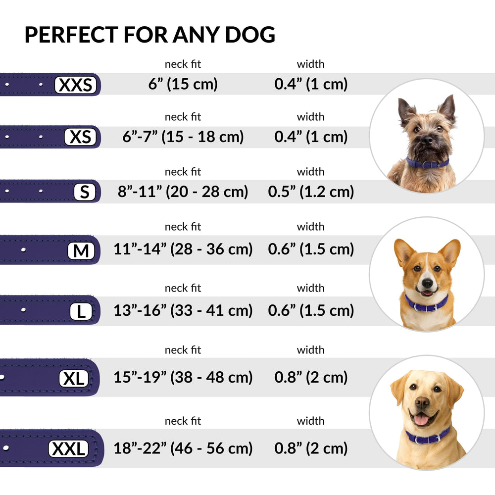 CollarDirect matching-cat-collar image shows coordinating gear for pets.
