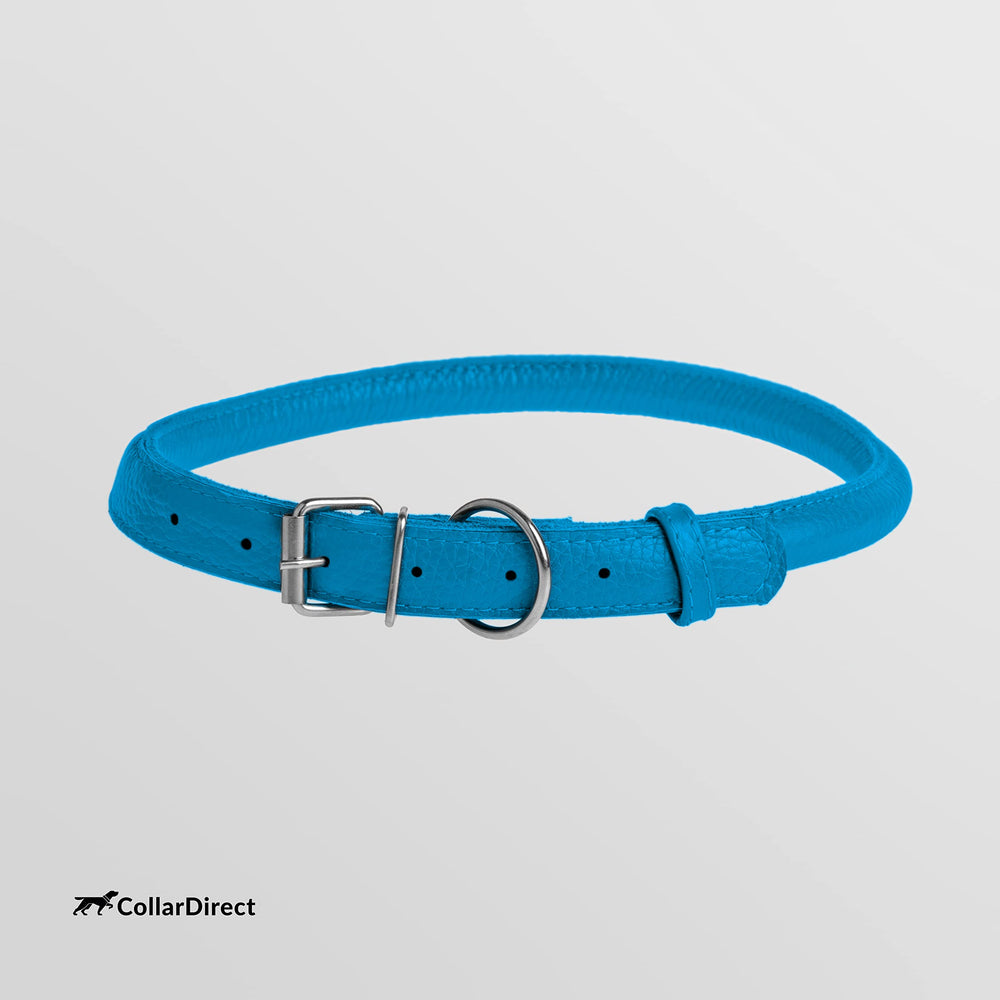 CollarDirect matching cat collar for coordinated pet style