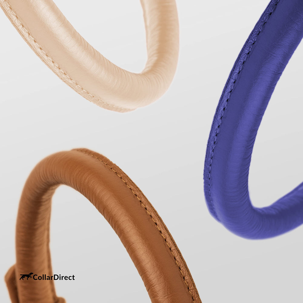 CollarDirect multi-color leather dog collar options to match your pup's personality