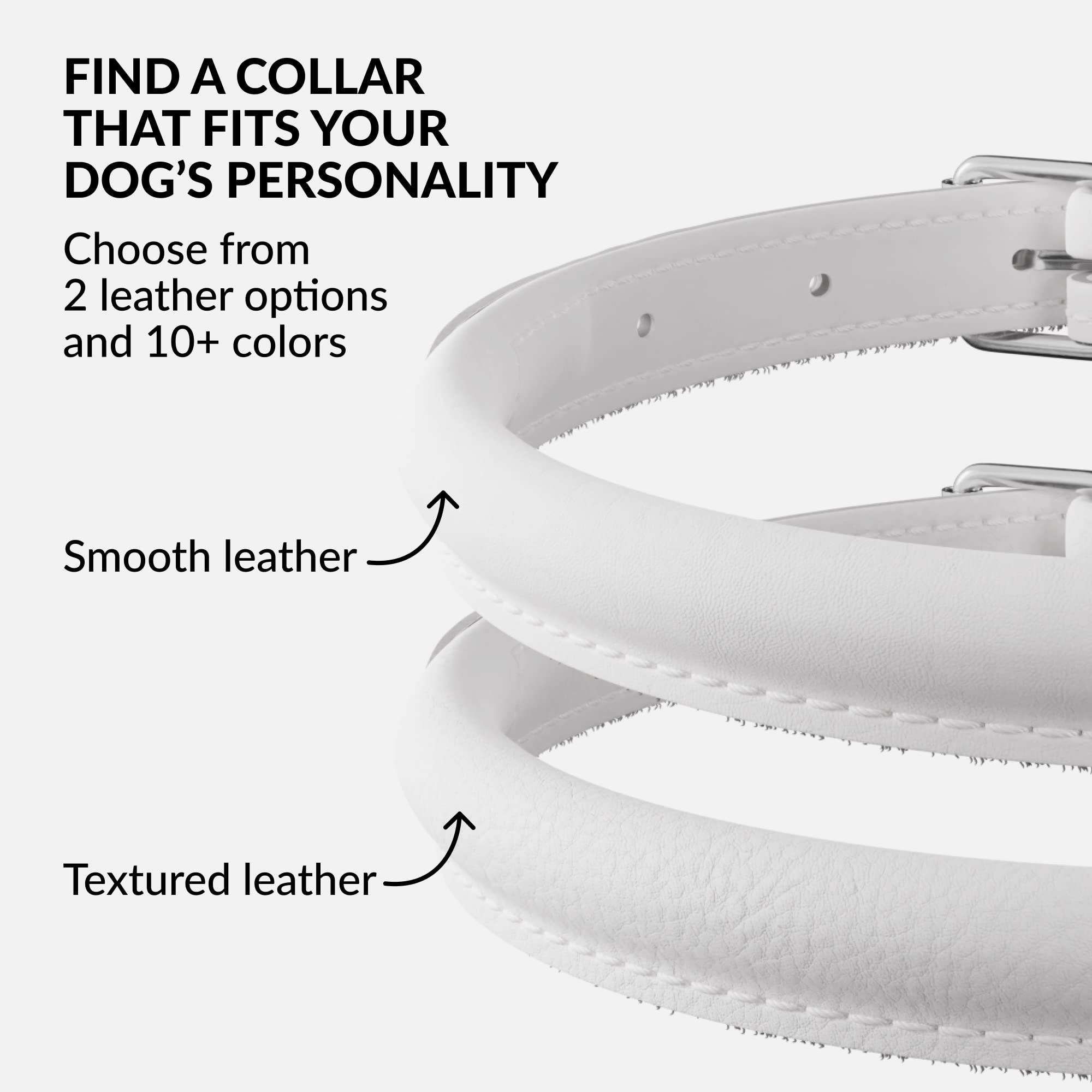 CollarDirect multicolor leather collar collection demonstrates personality friendly style and easy pairing.