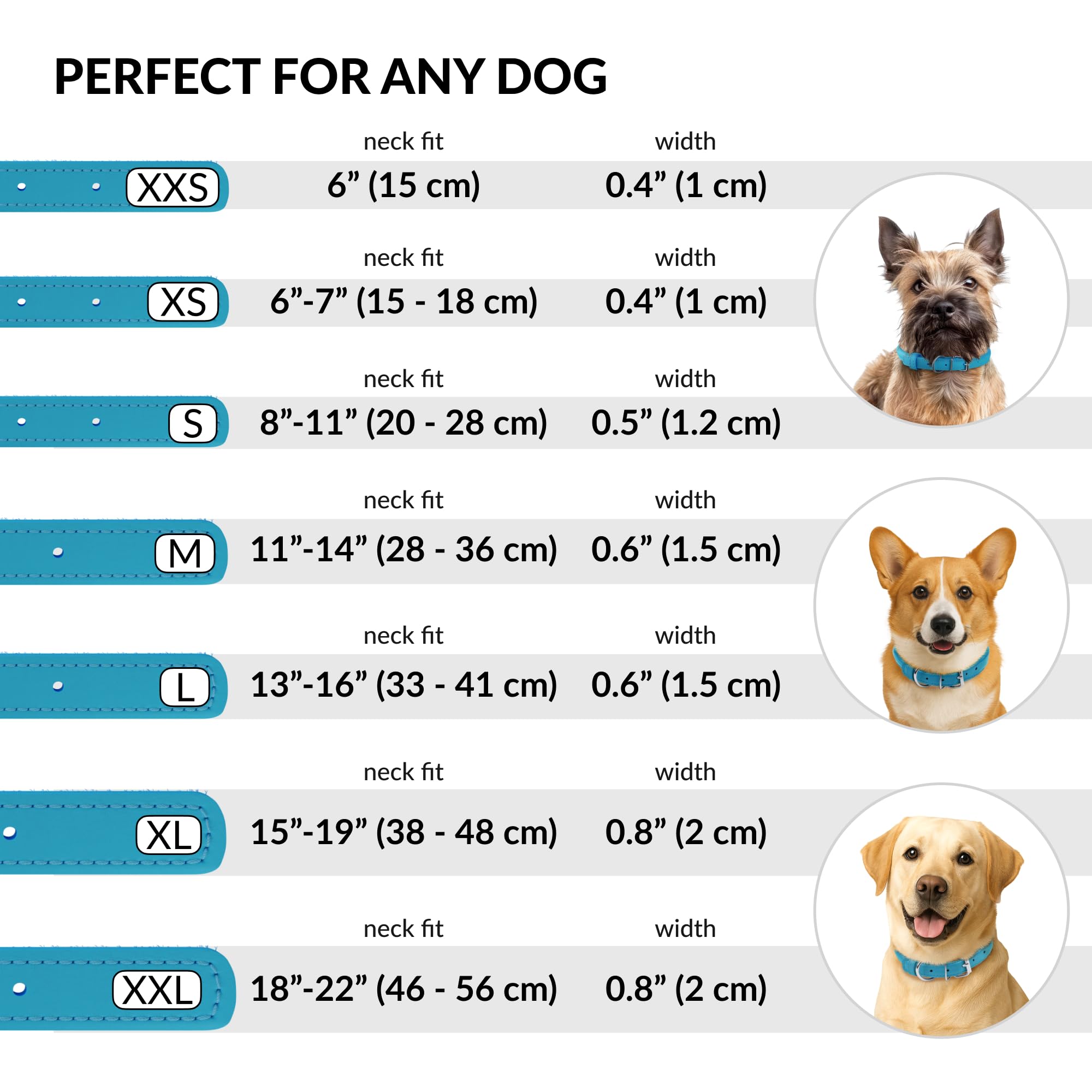 CollarDirect leather collar in multiple colors to match pup's personality