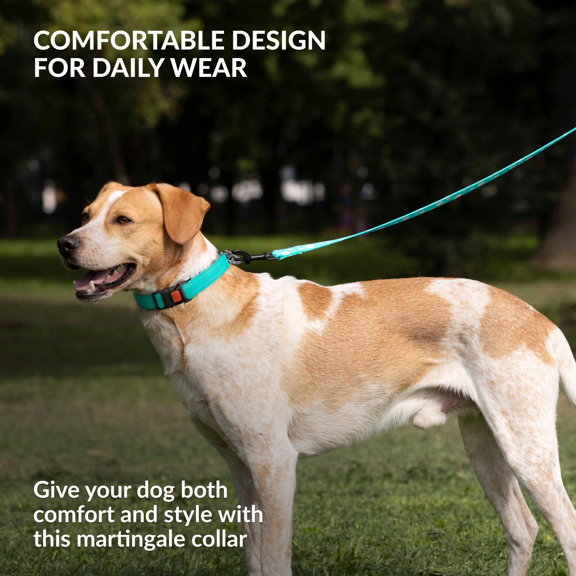 CollarDirect neck size 14-17 inches fits a range of dogs