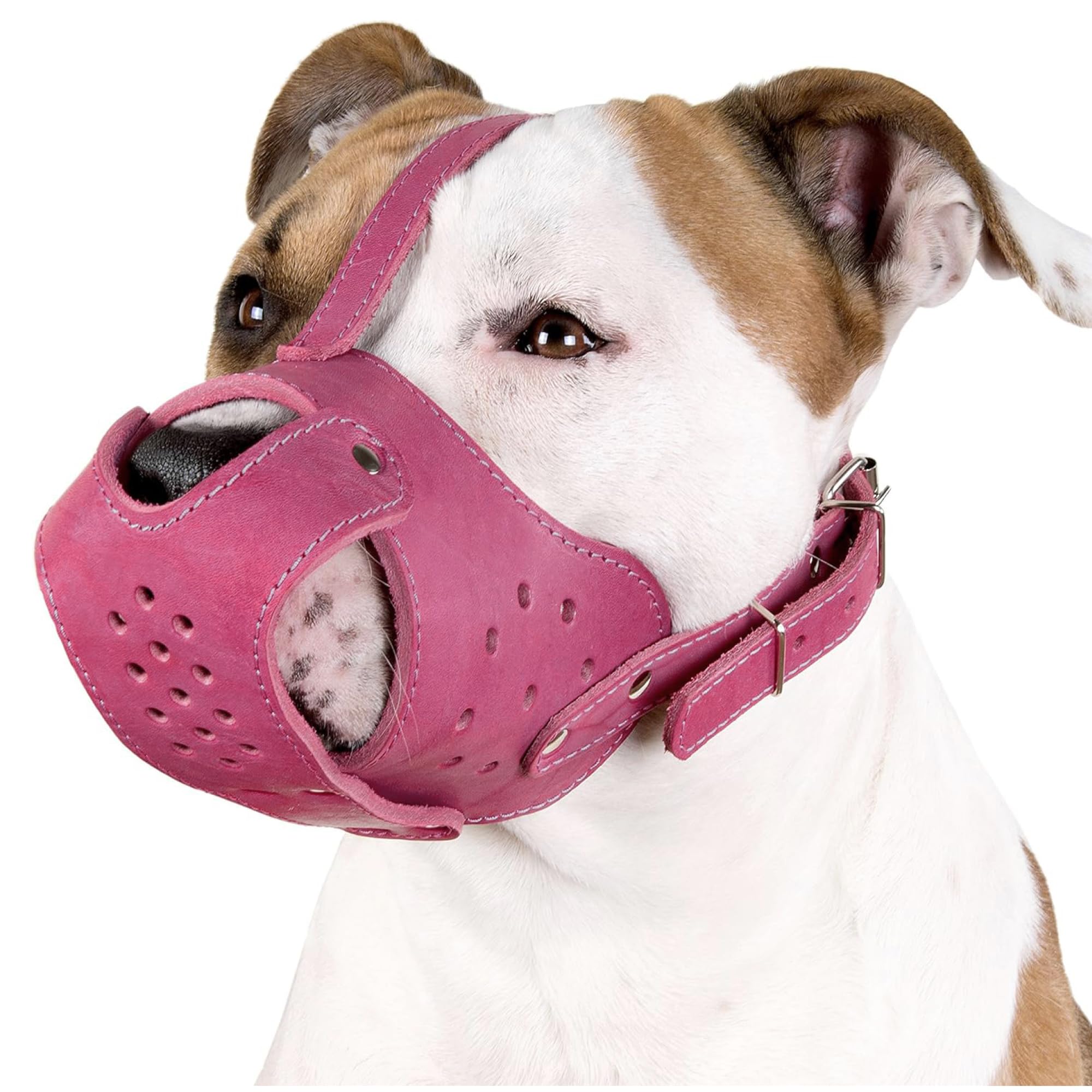CollarDirect pink dog muzzle front view shows secure leather basket design for safe daily walks.