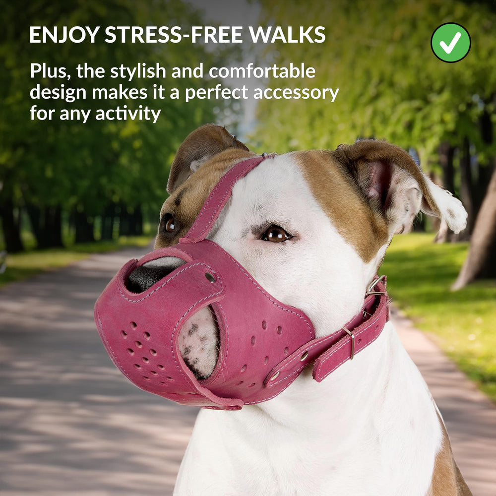 CollarDirect pink muzzle size chart image showing circumference and snout length guidance.