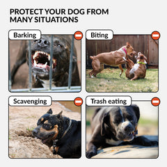 CollarDirect pink dog muzzle ventilation openings highlight breathable design for comfortable sessions.