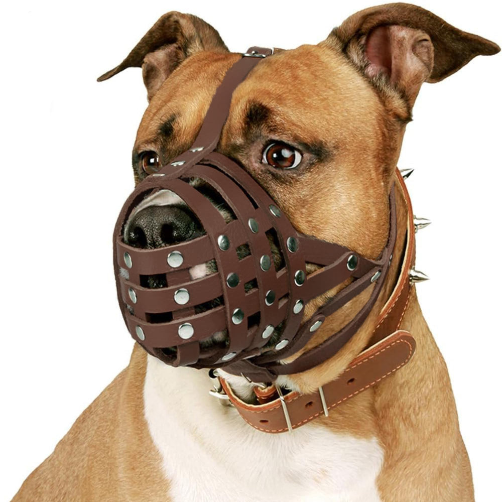 CollarDirect Pitbull leather muzzle with adjustable straps for secure fit and ventilation.