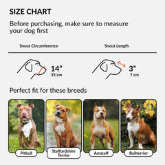 CollarDirect Pitbull leather muzzle showing cross-weave breathable design.