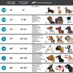 CollarDirect dog collar color options showing vivid hues and pink textured variant.
