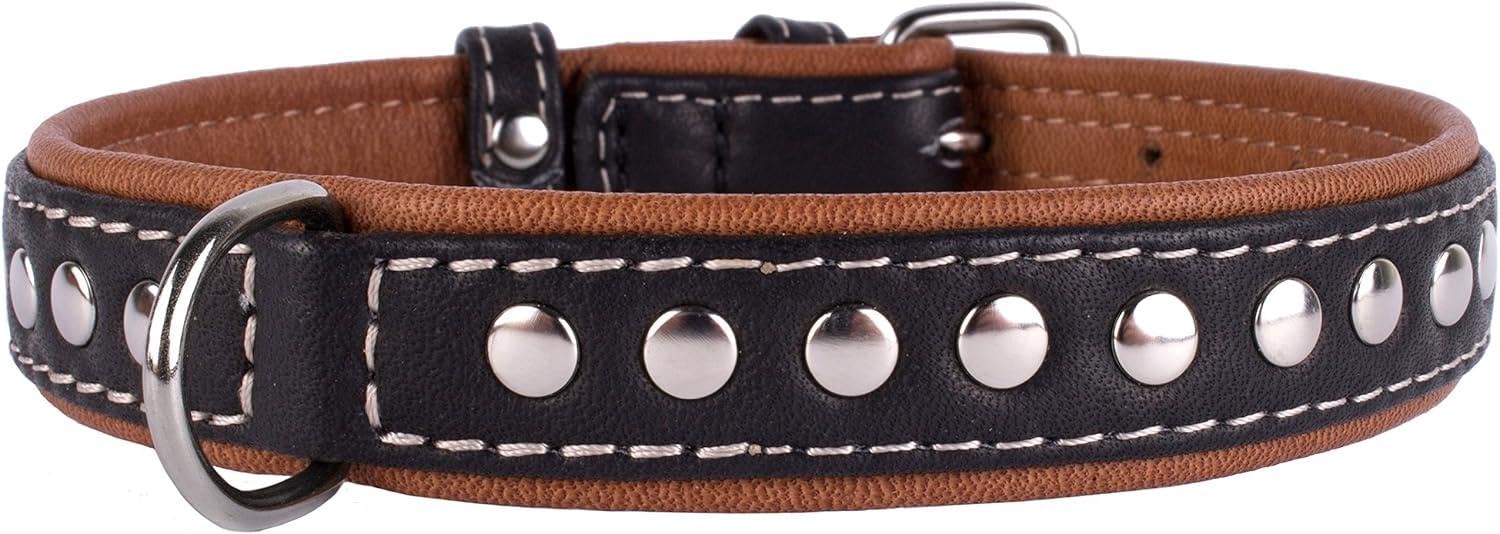 CollarDirect puppy sized black collar image showing gentle padding