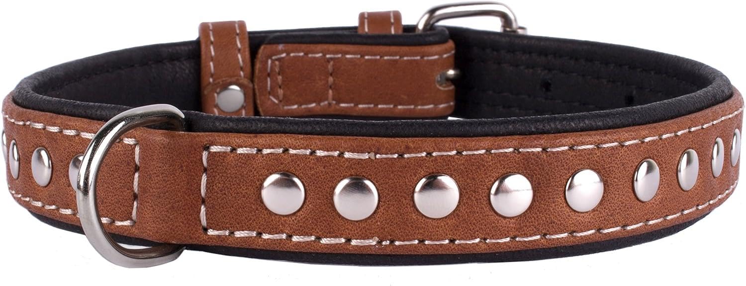 CollarDirect puppy leather collar closeup shows soft material and gentle fit.