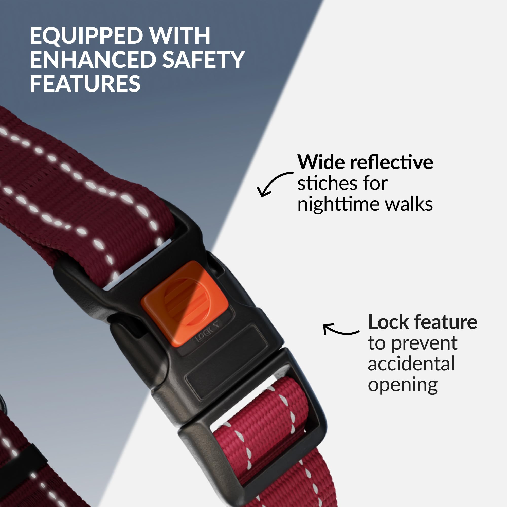 CollarDirect reflective nylon collar increases visibility for safer evening strolls.