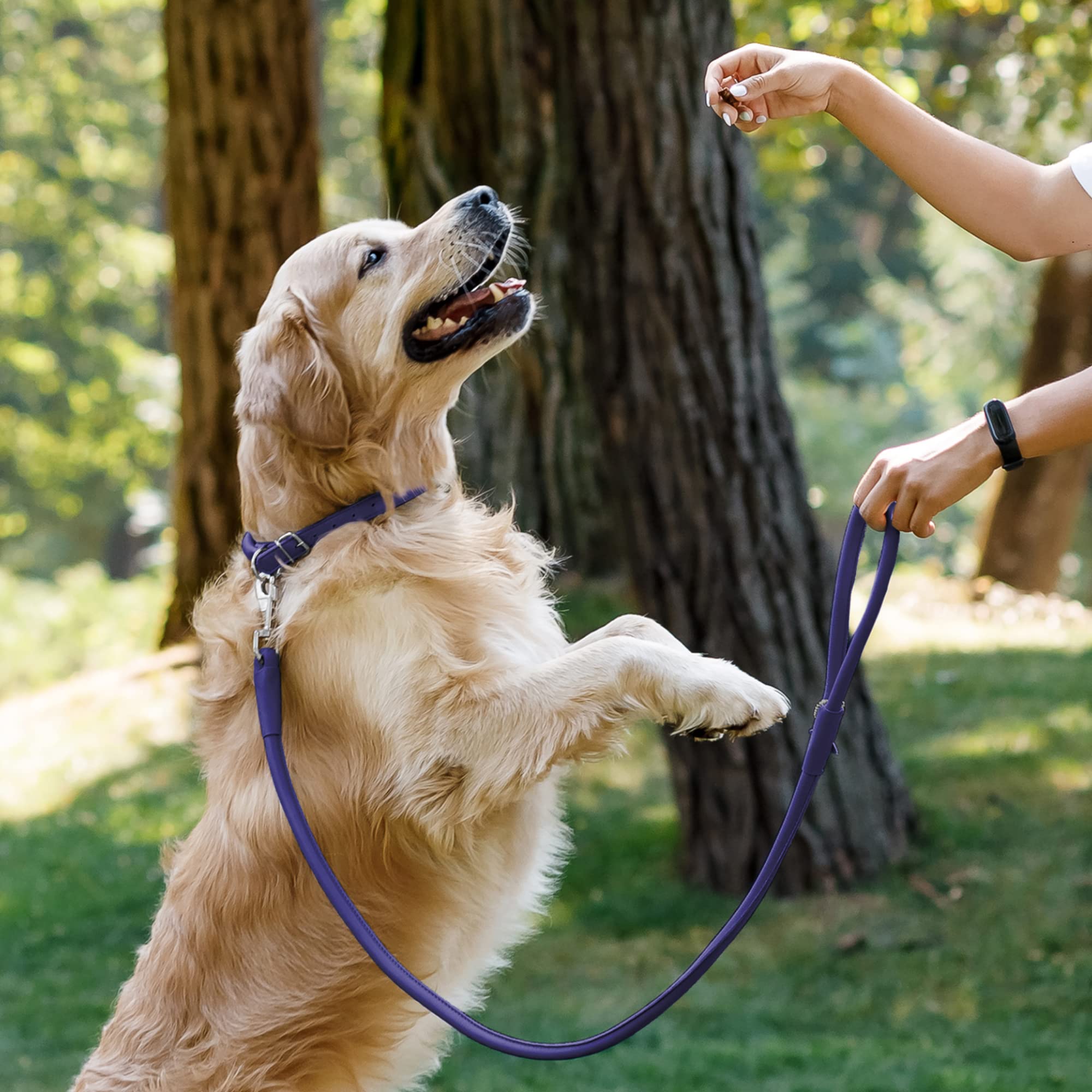 CollarDirect rolled leather leash orange handheld shot highlights vibrant color and comfortable grip.