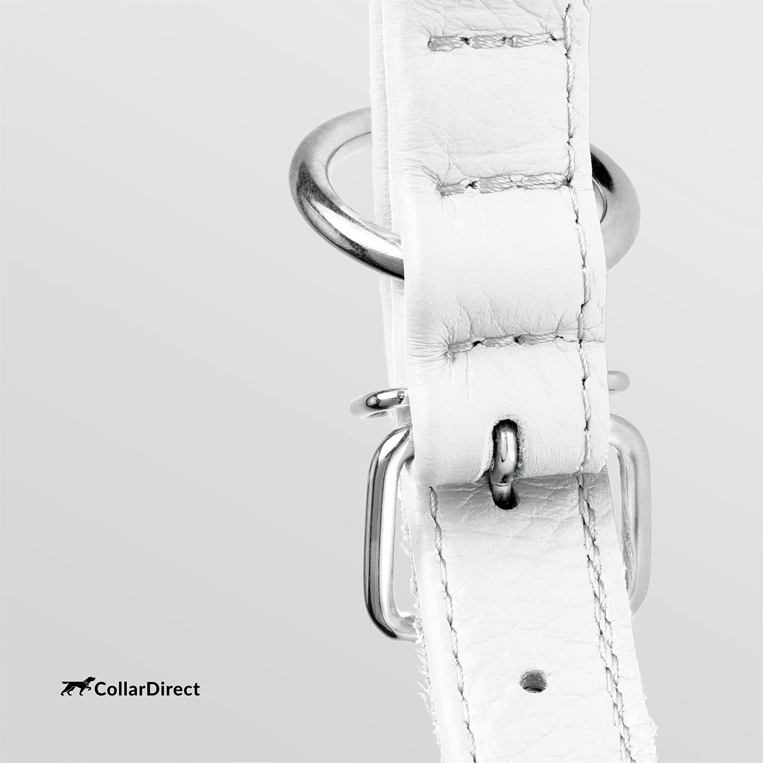 CollarDirect color options display shows 13 hues to match your pup's personality.