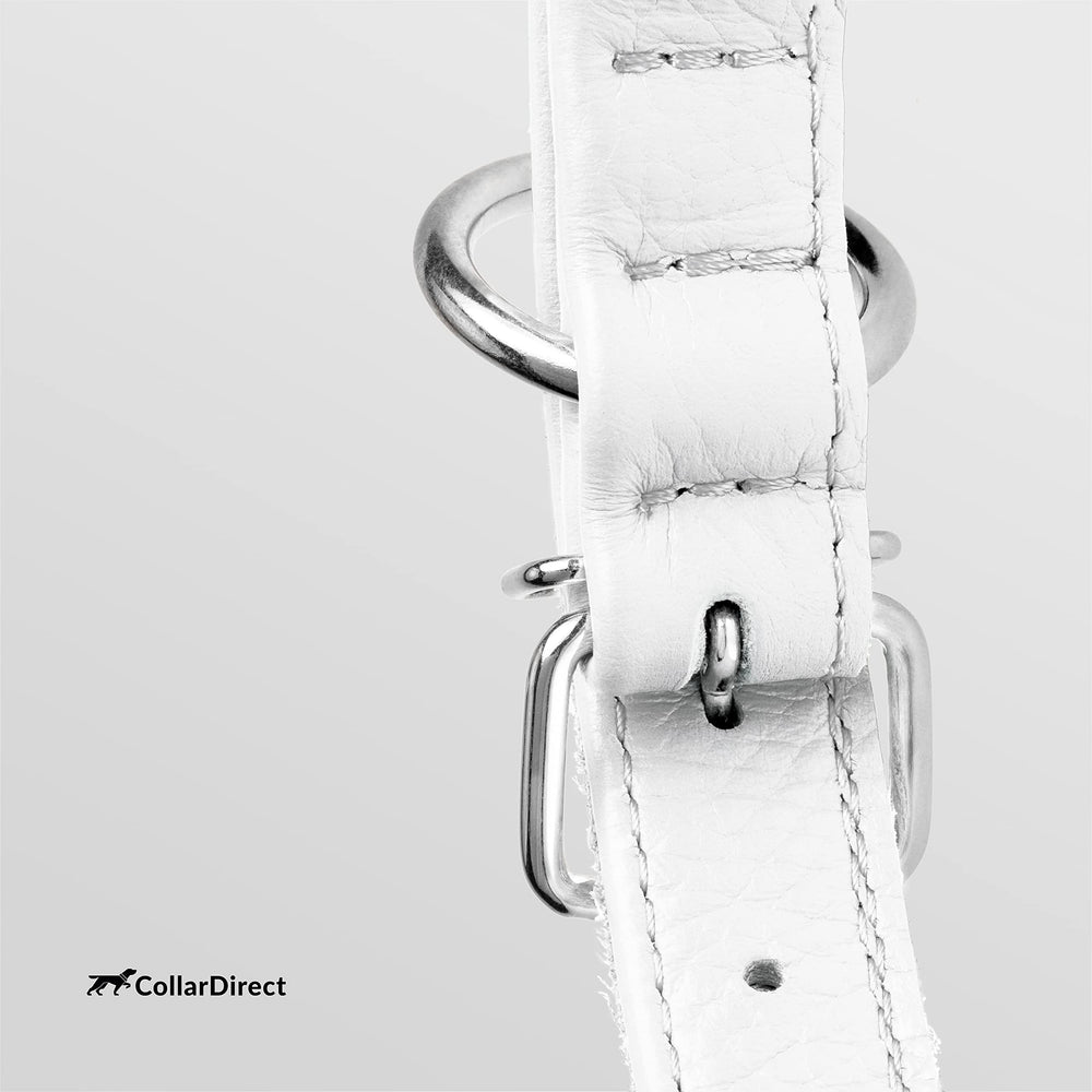 CollarDirect color options display shows 13 hues to match your pup's personality.