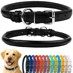 CollarDirect rolled leather collar in light blue textured worn by a dog for comfort