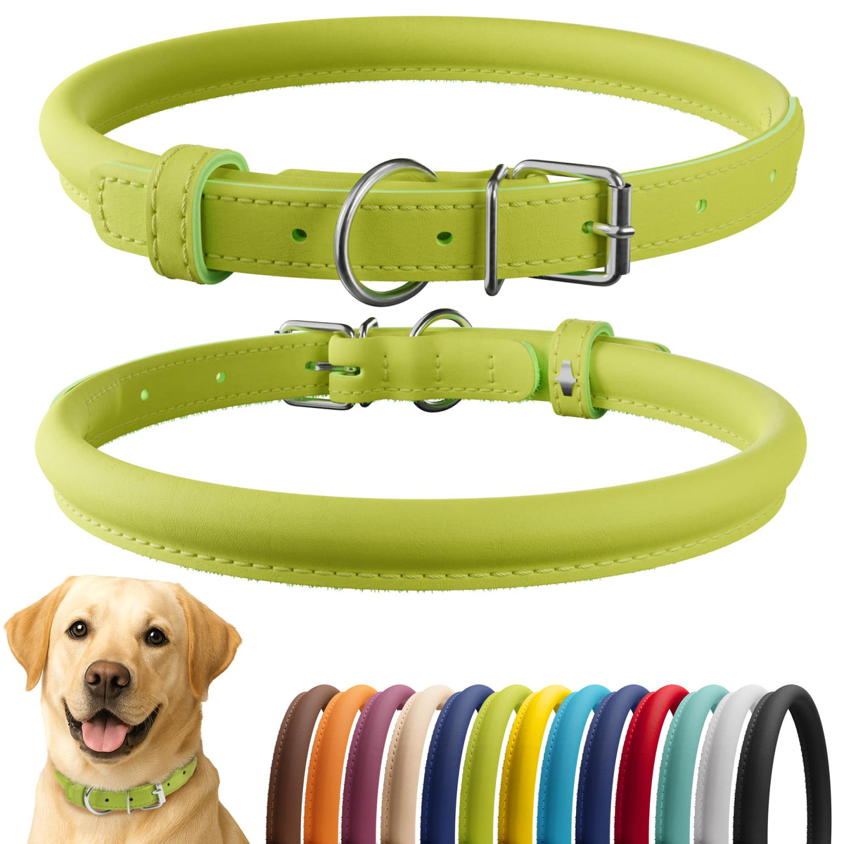 CollarDirect rolled leather collar in lime green smooth for daily comfort.