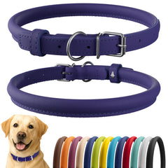 CollarDirect rolled leather collar in purple smooth finish for long-haired dogs.