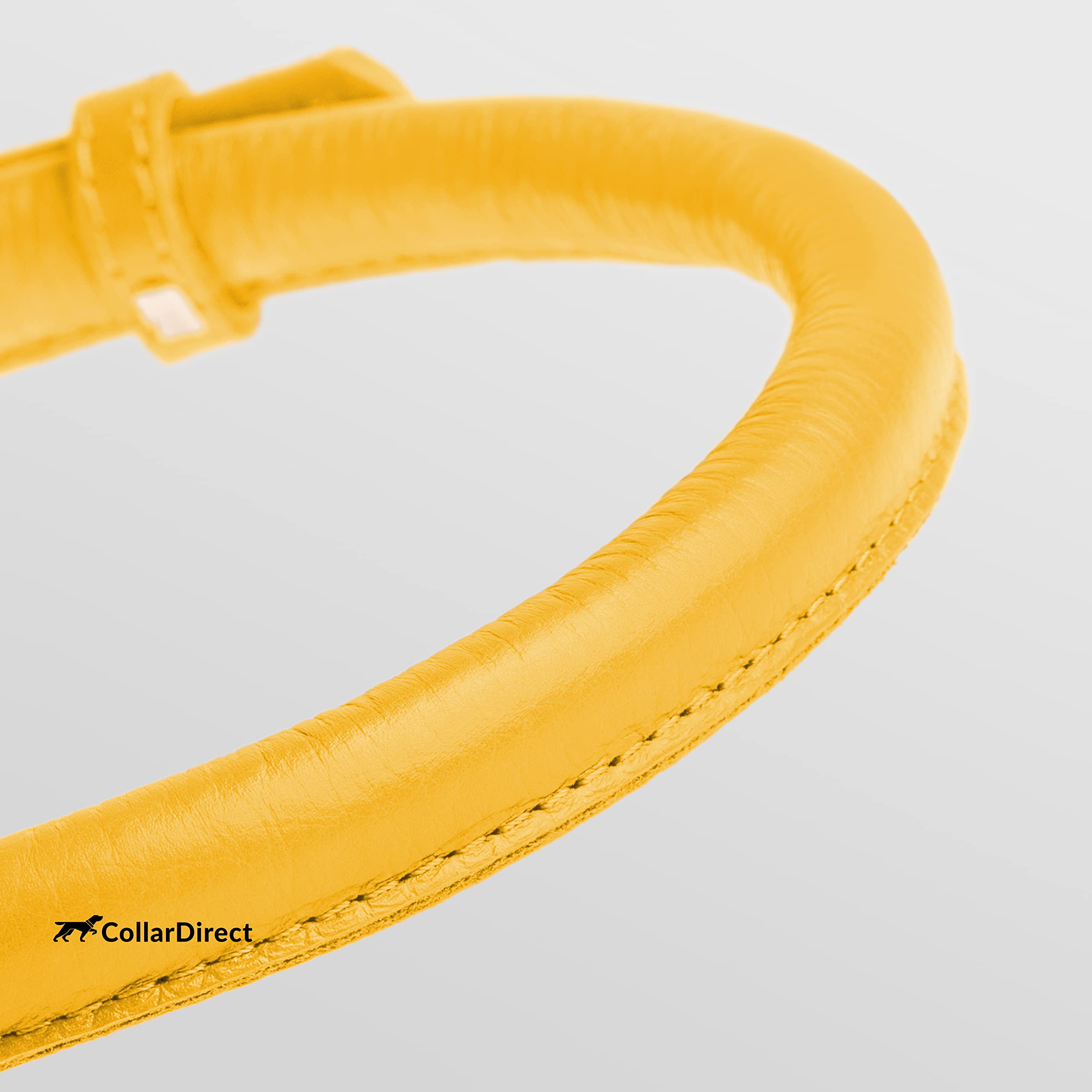 CollarDirect rolled leather collar side view highlights 0.8-inch width for durable daily wear.