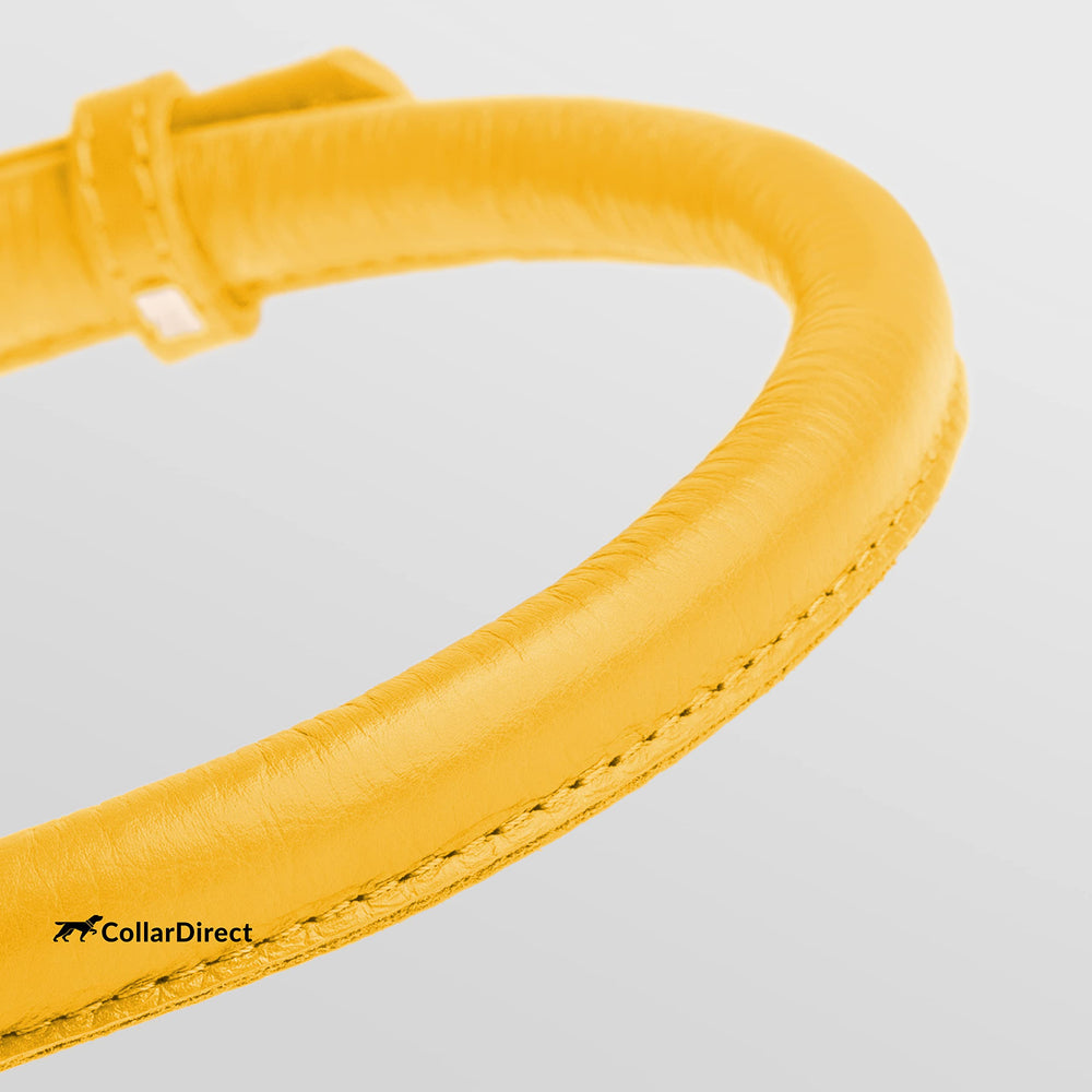 CollarDirect rolled leather collar side view highlights 0.8-inch width for durable daily wear.