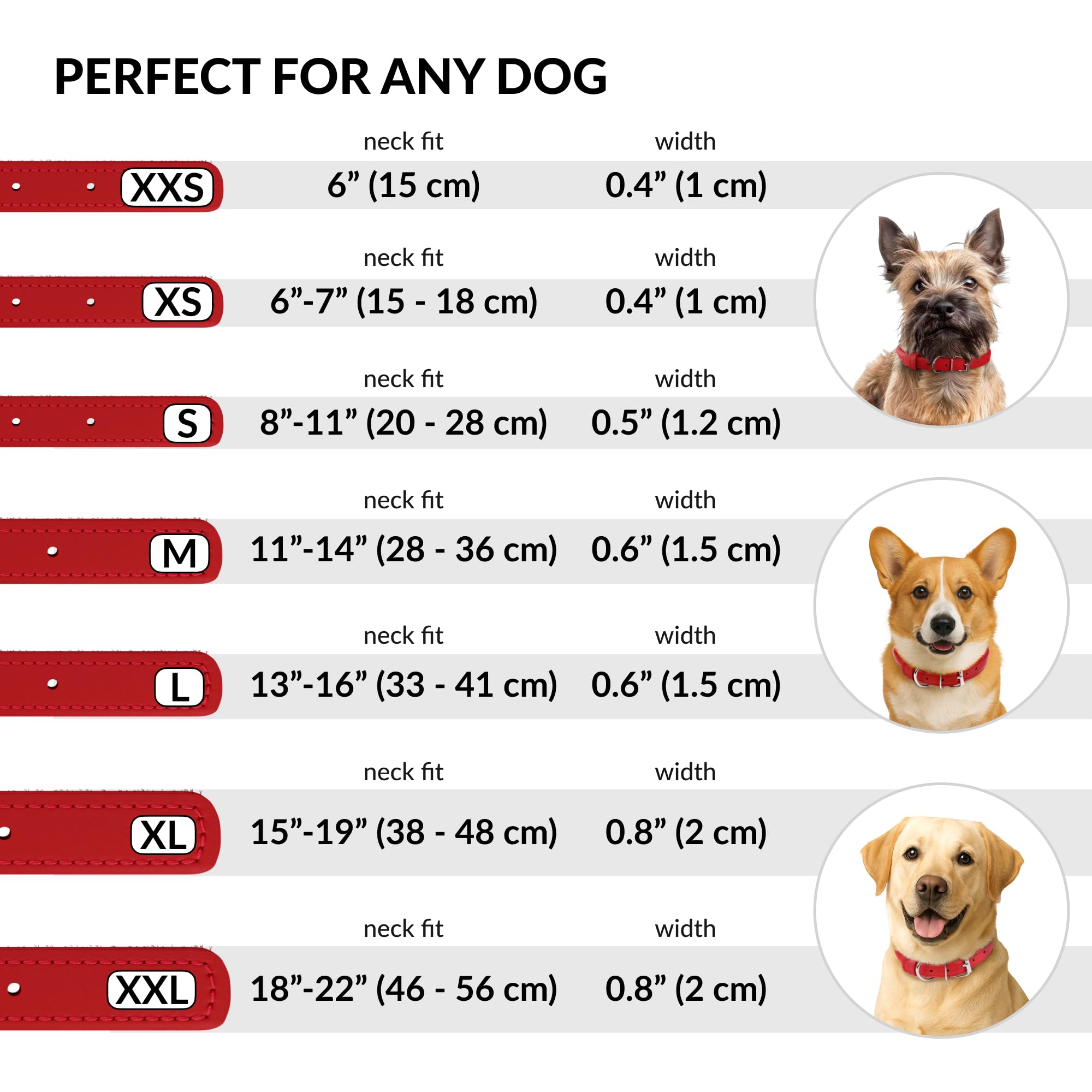 CollarDirect rolled leather collar sized 16-20 neck with chart reference.