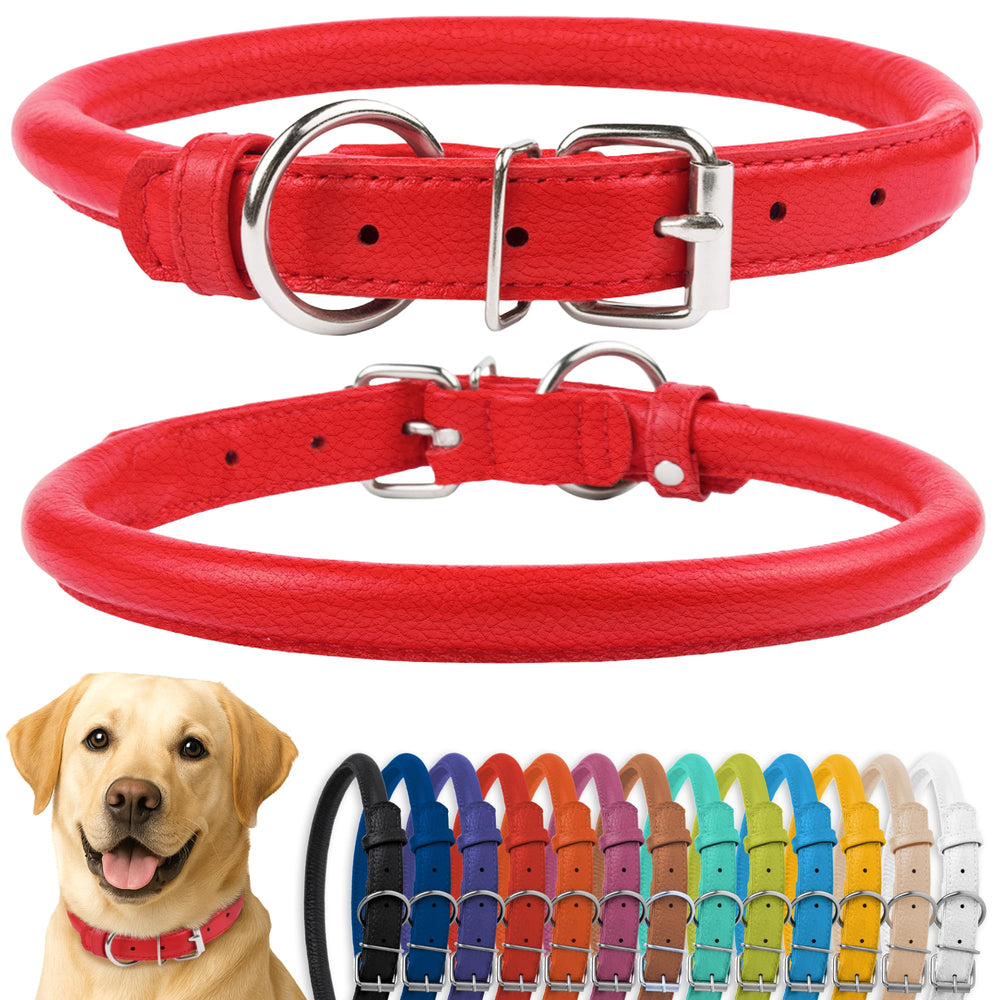 CollarDirect rolled leather collar closeup shows soft padding for comfortable wear.