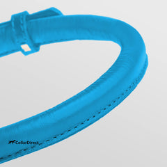 CollarDirect rolled-leather collar closeup emphasizes durable texture and premium finish.