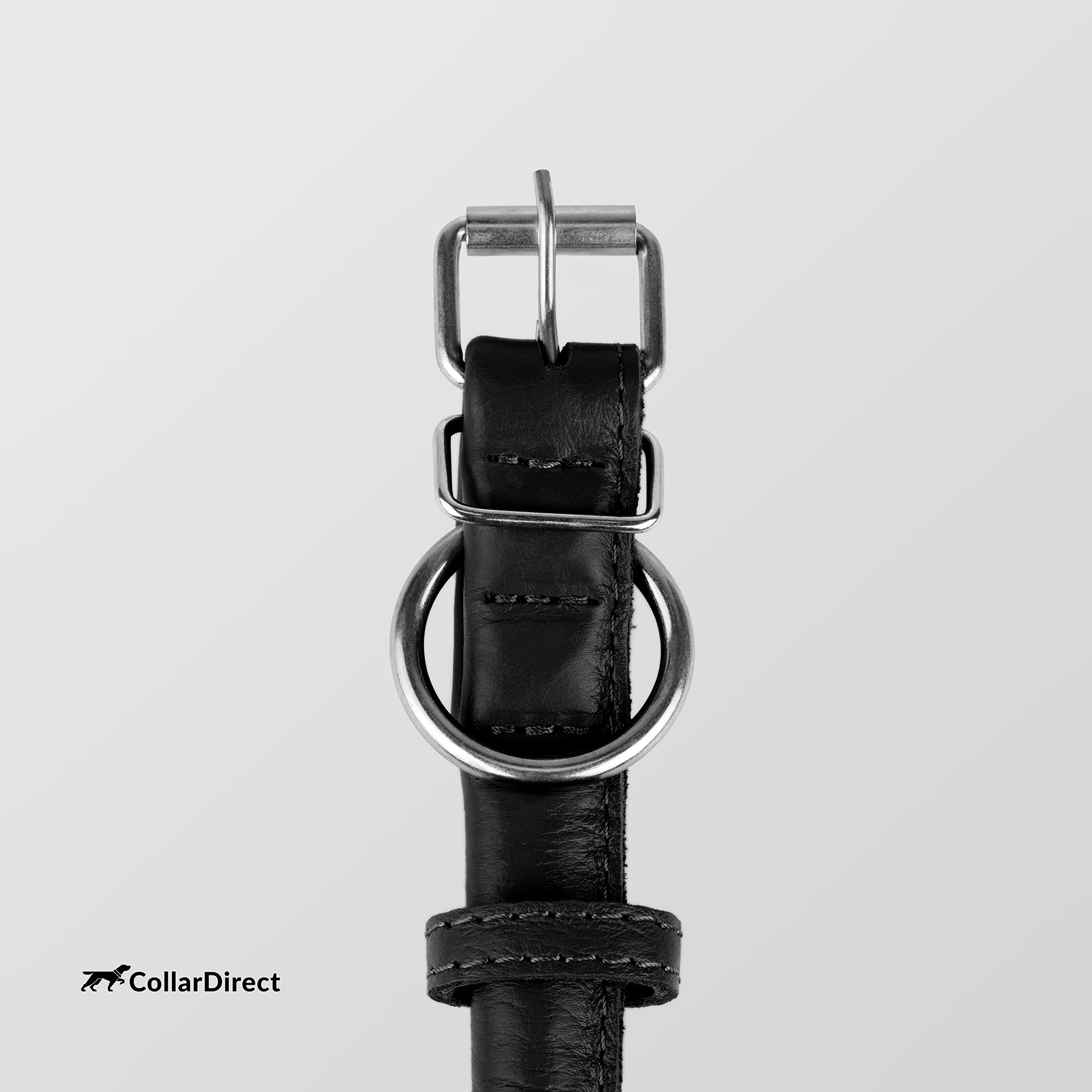 CollarDirect rolled leather collar on a dog during a casual walk