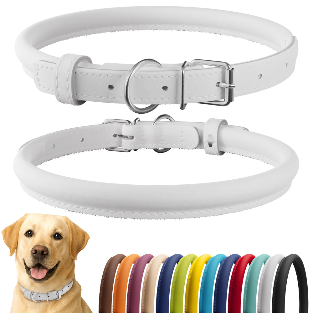 CollarDirect rolled leather collar in white smooth finish offers lightweight everyday wear.