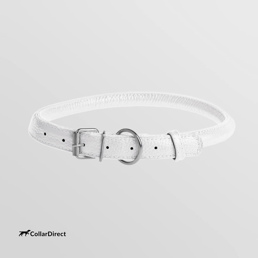 CollarDirect worn-on-dog outdoor use highlights rugged durability and easy cleaning.