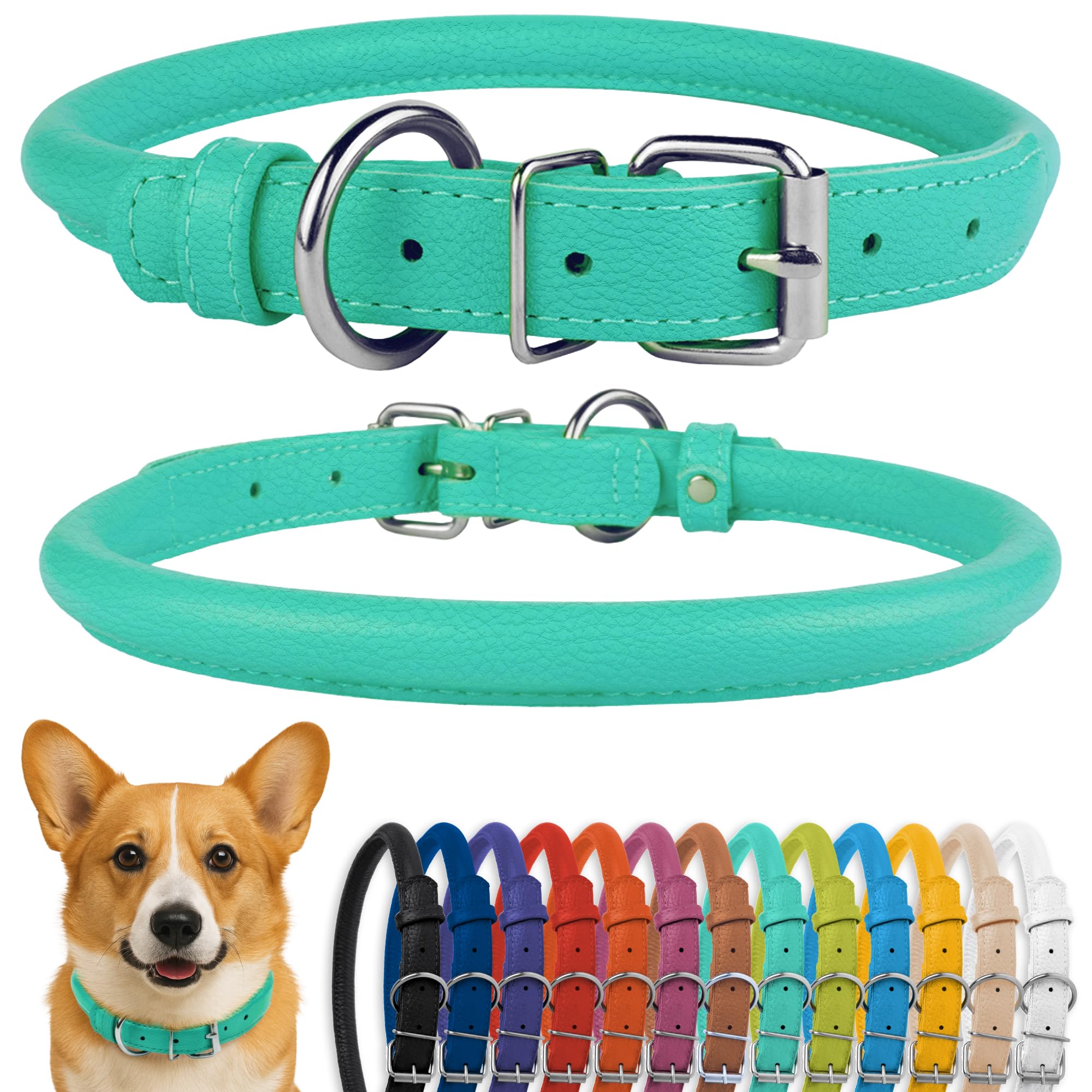 CollarDirect rolled leather dog collar closeup with textured mint green finish for long-lasting comfort