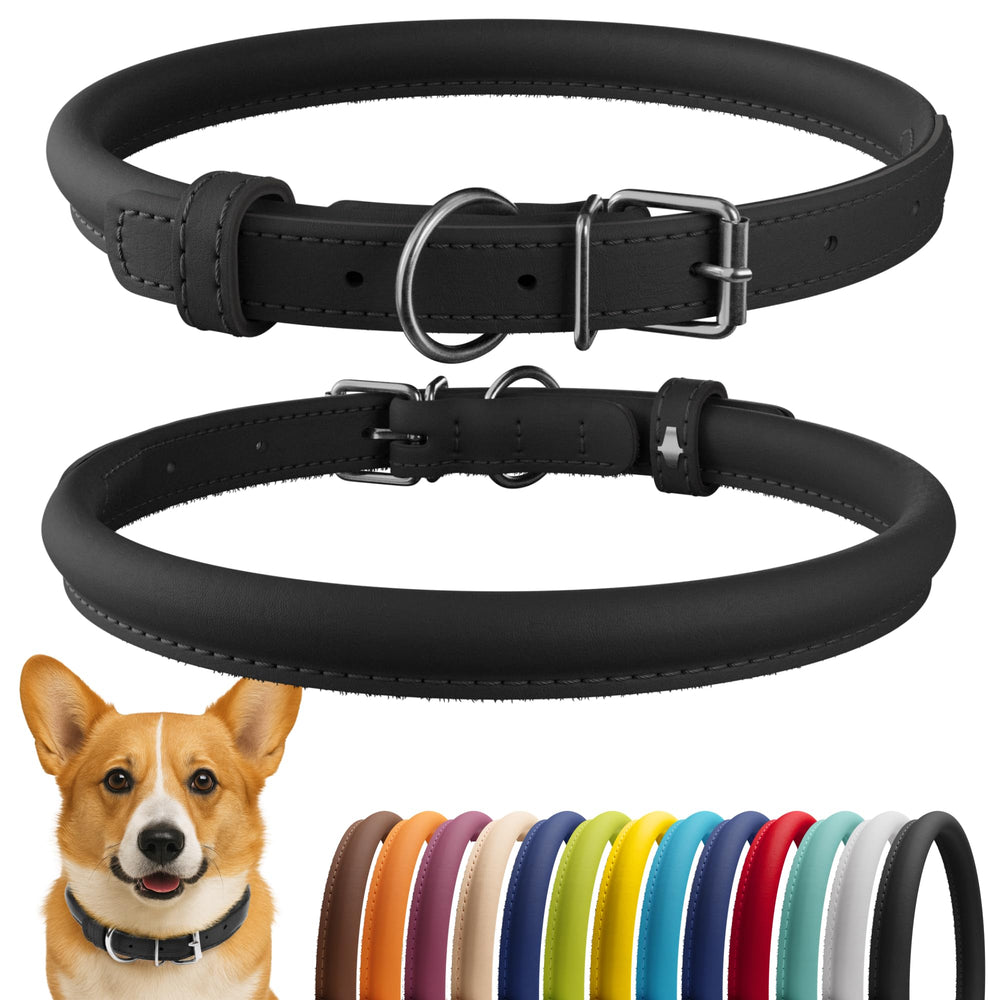 CollarDirect rolled leather dog collar closeup highlighting soft durable leather for long-haired breeds.