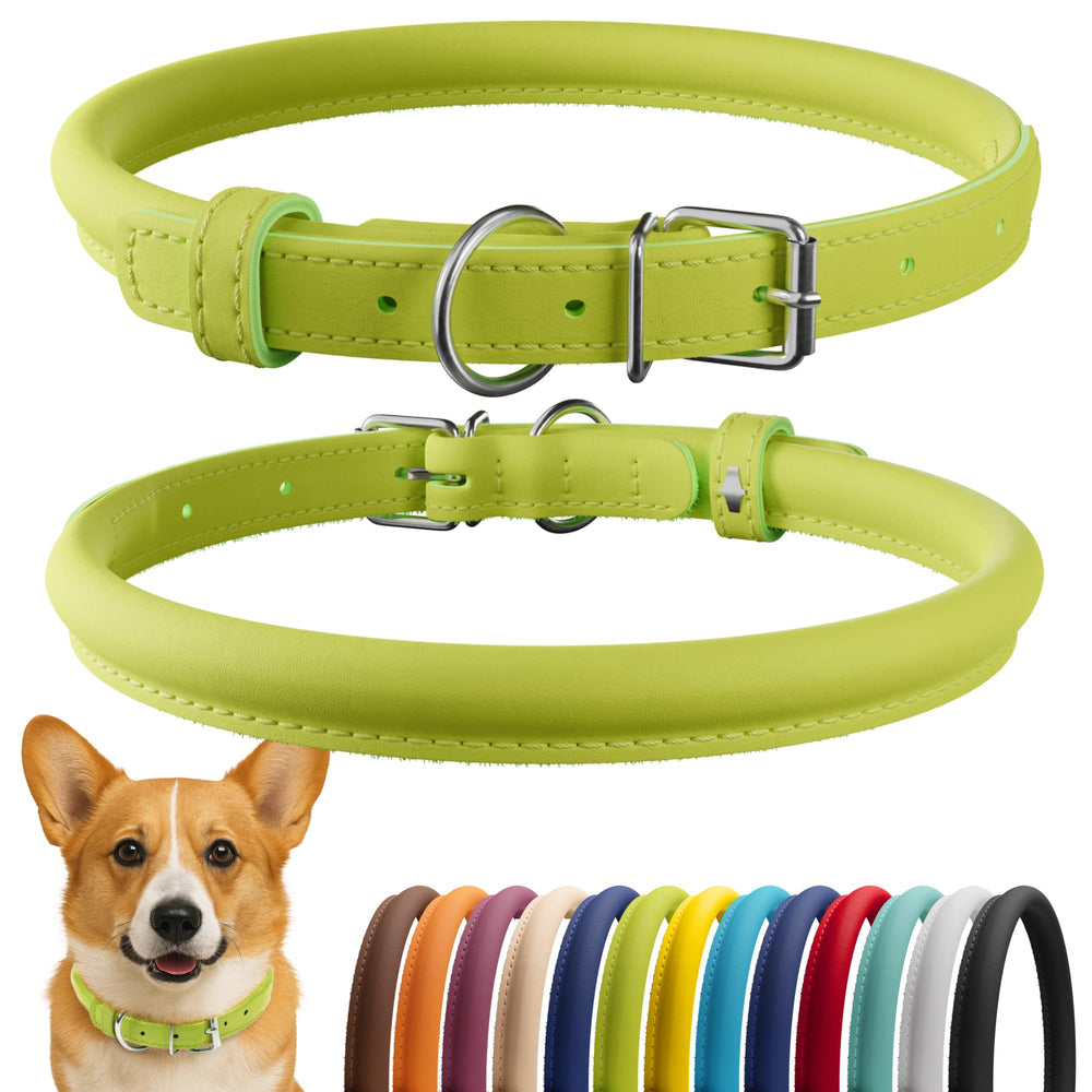 CollarDirect rolled leather dog collar lime green smooth for comfortable daily wear.