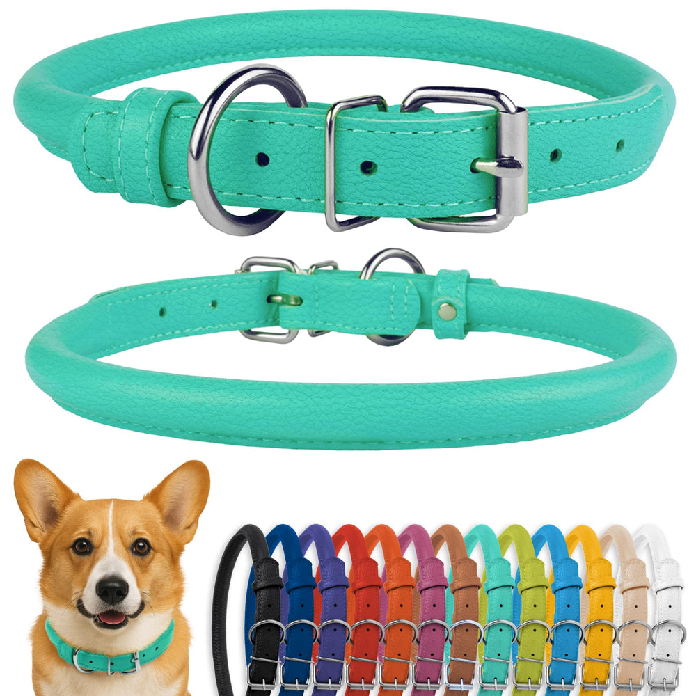 CollarDirect rolled leather collar in mint green textured finish eases grooming.